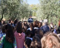 FornelliPrimariaOlio2